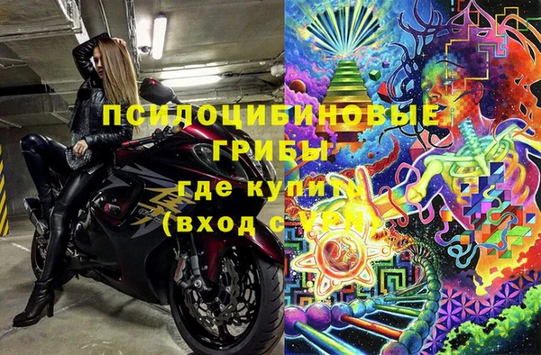 прущие грибы Армянск