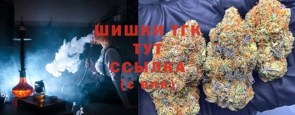 прущие грибы Армянск