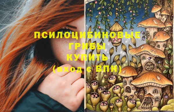 прущие грибы Армянск