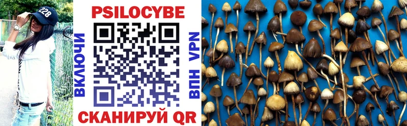 гидра как войти  Узловая  Псилоцибиновые грибы Cubensis 