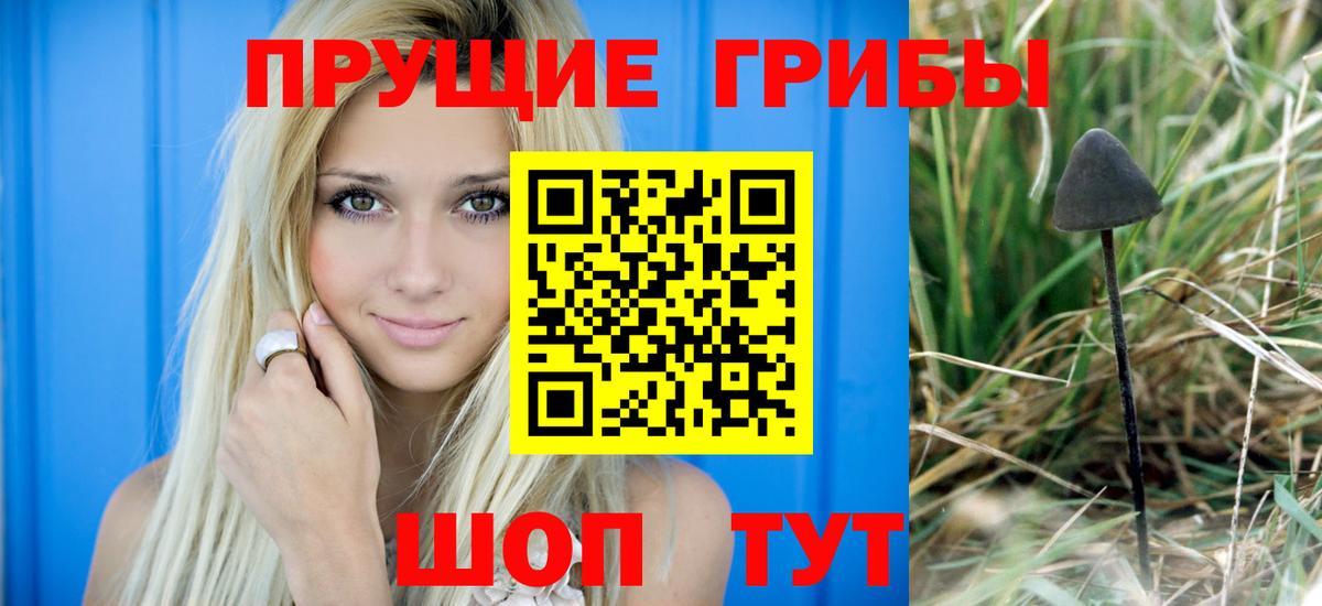 Узловая  Галлюциногенные грибы мицелий  Псилоцибиновые грибы Cubensis  Вход с VPN 